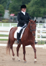 Dressage at Delaware